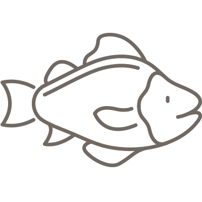 Icon Fish