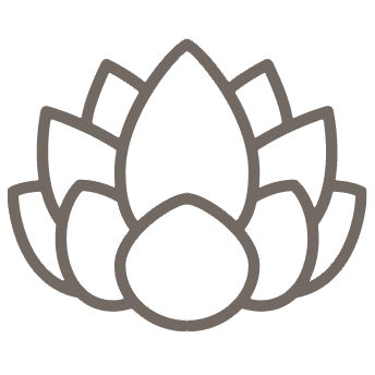 Icon Lotus