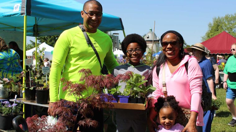 Banner Herbs Galore Family