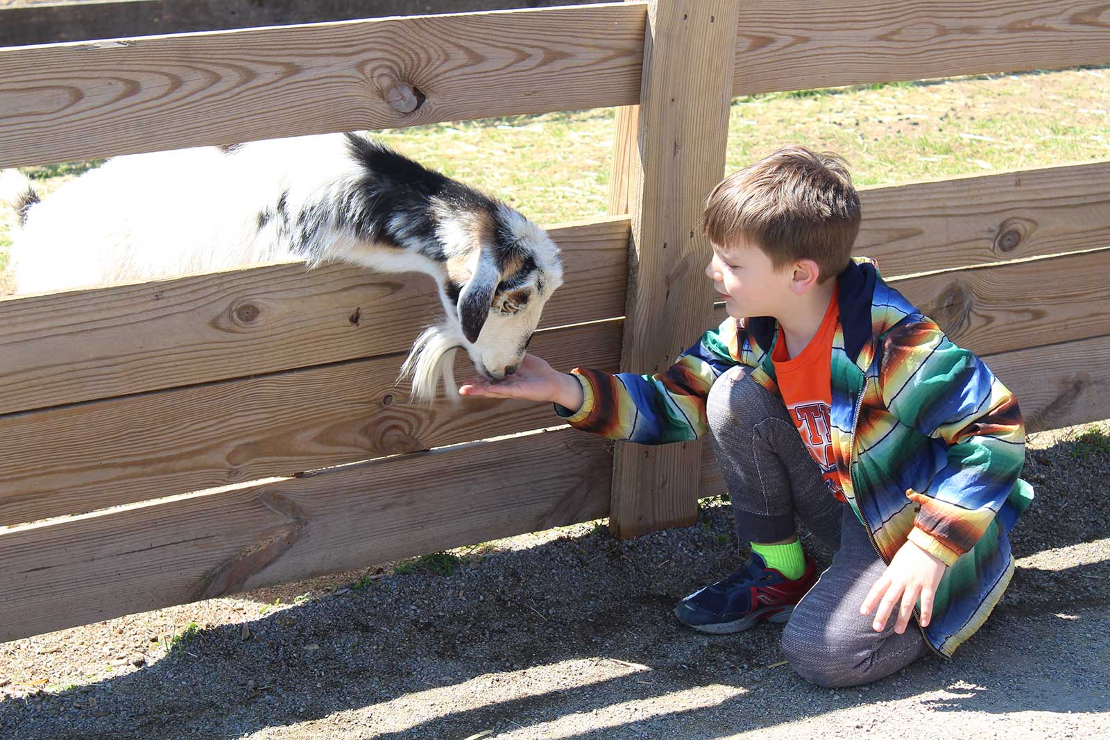 Maymont Farm | Maymont Foundation