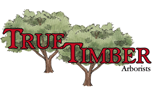 TrueTimber Logo