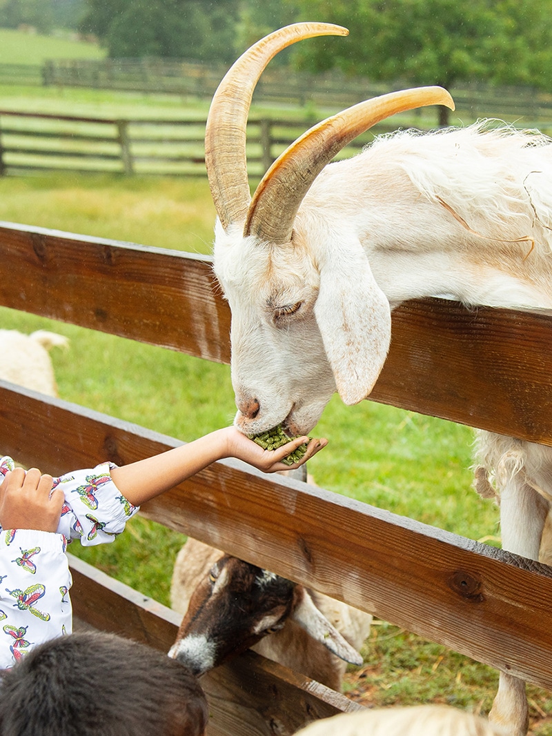 farm tours richmond va