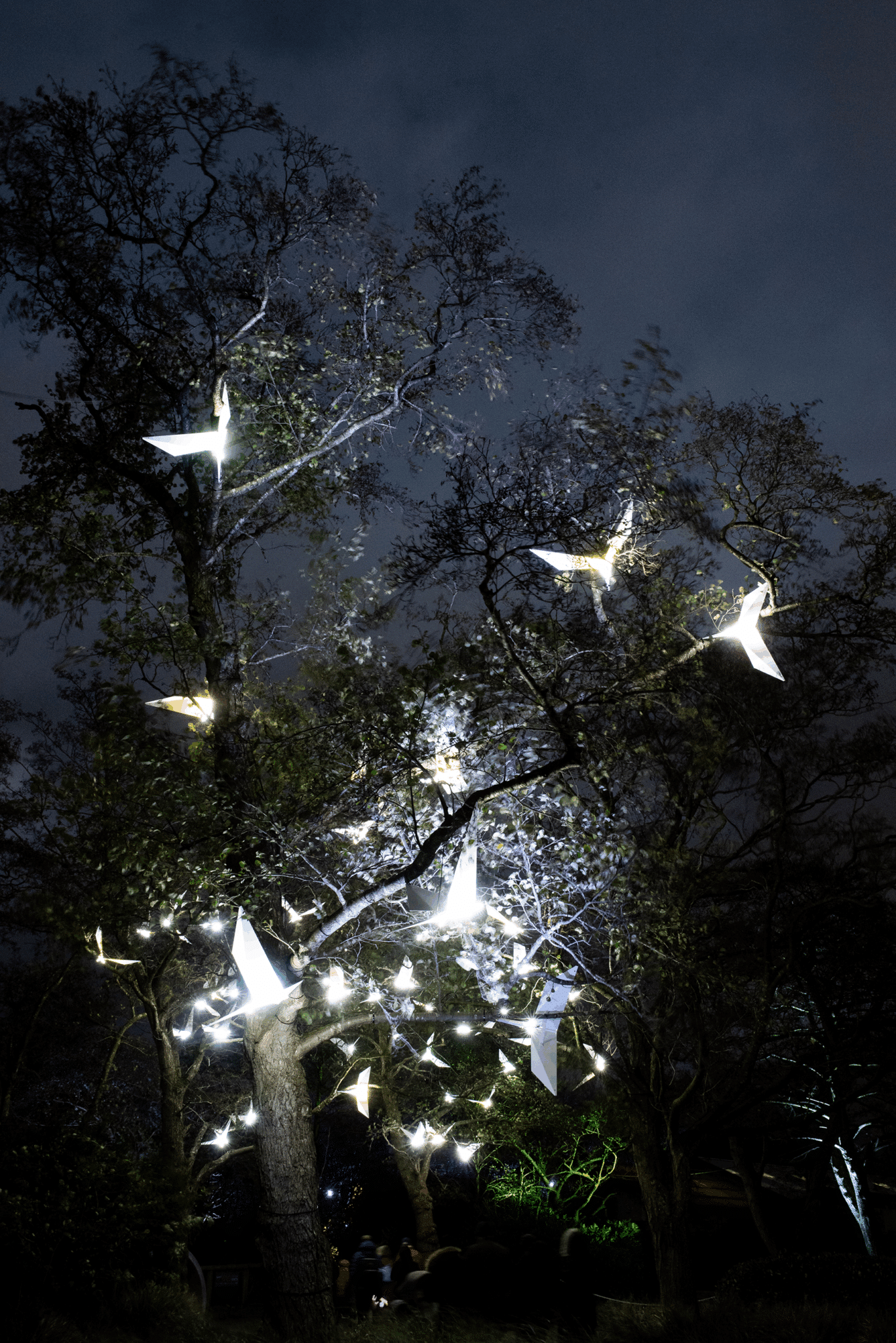 Illuminated artificial birds in a tree at night