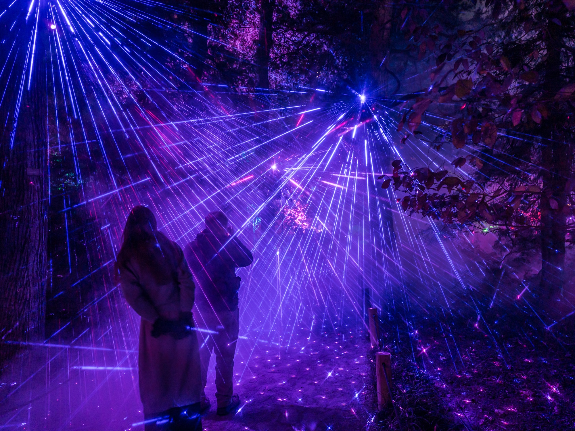 C Dave Parrish 2024 79